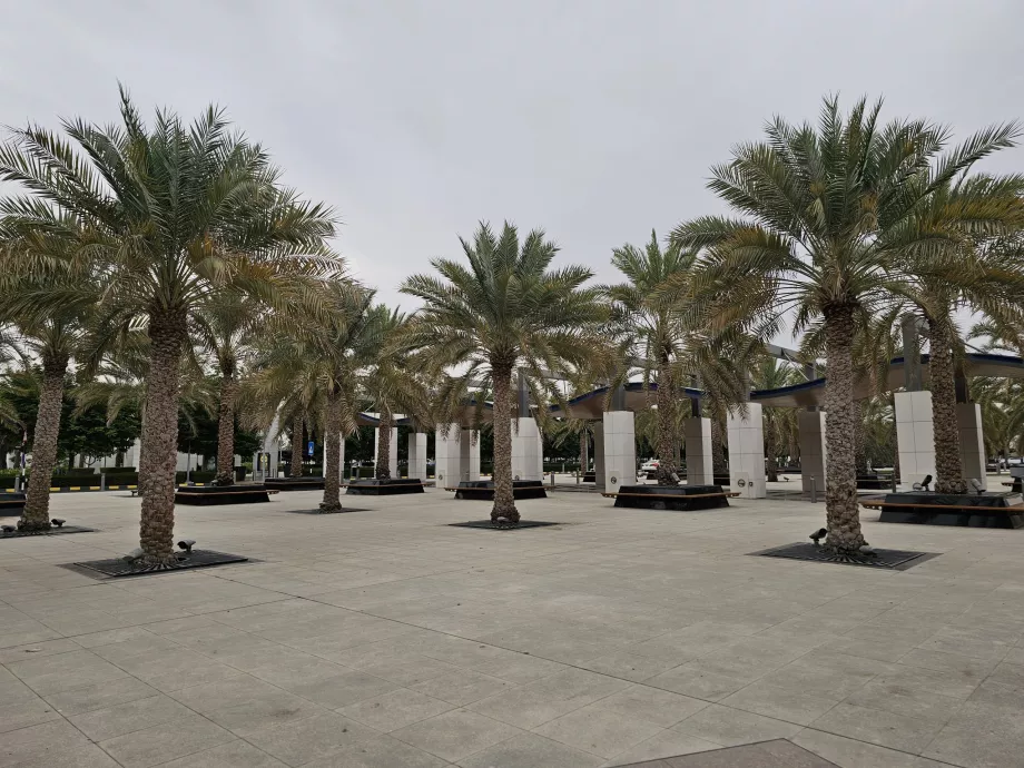 Havaalanı önüne park edin