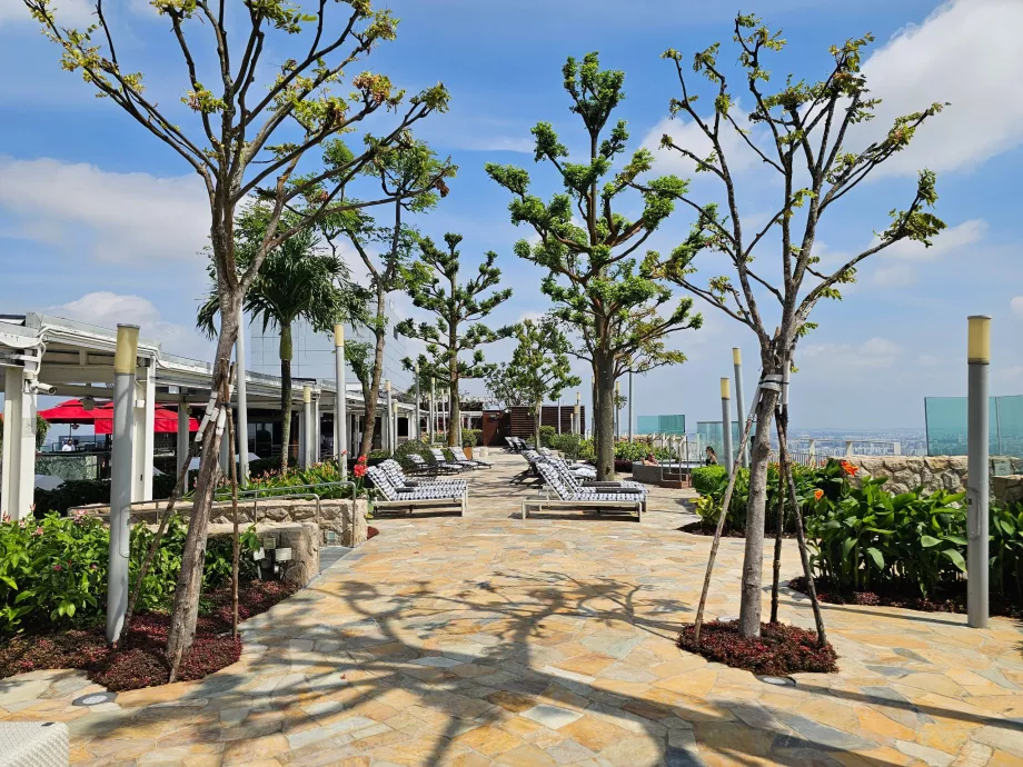 MBS Hotel'in çatı terasındaki şezlonglar