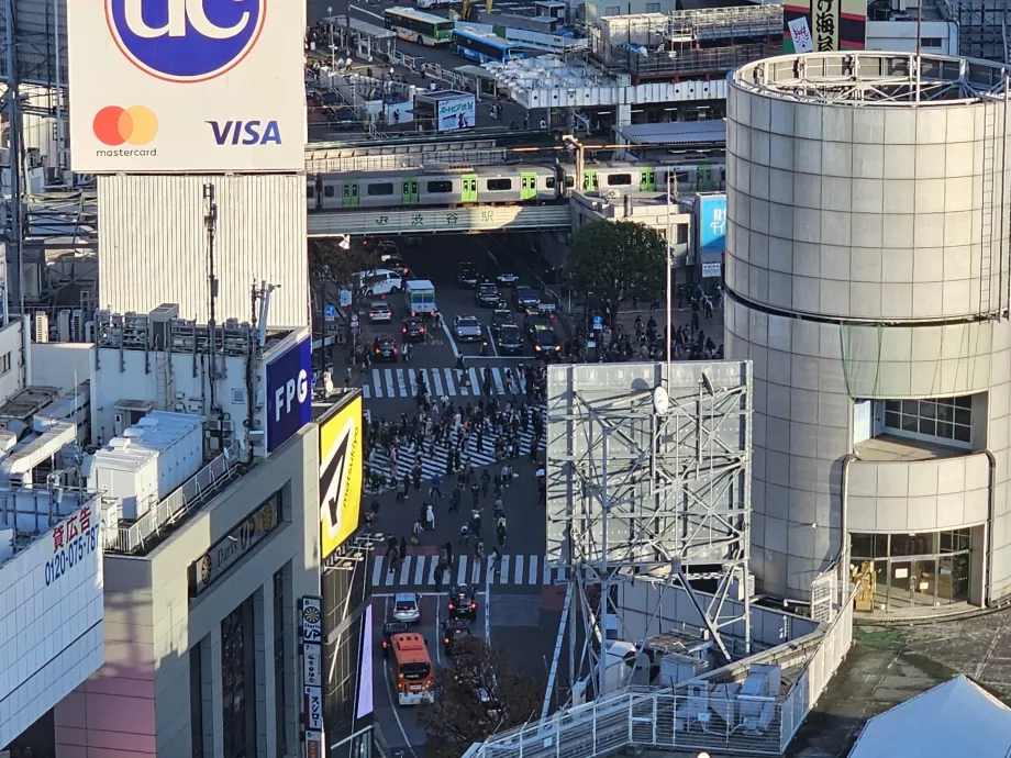 Shibuya Kavşağı'nın yakınlaştırılmış görünümü