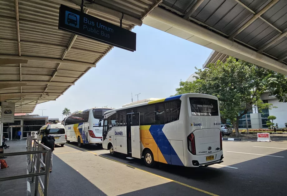Otobüs durağı, Terminal 1
