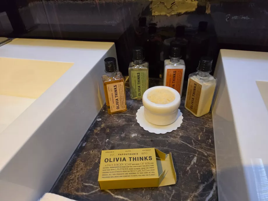 Ana banyo olanakları