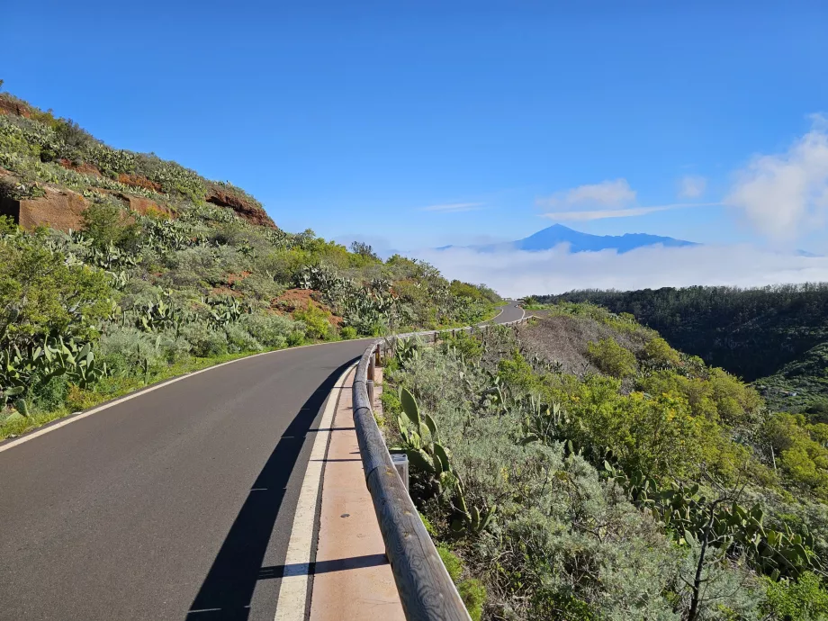 Mirador de Abrante'ye giden yol