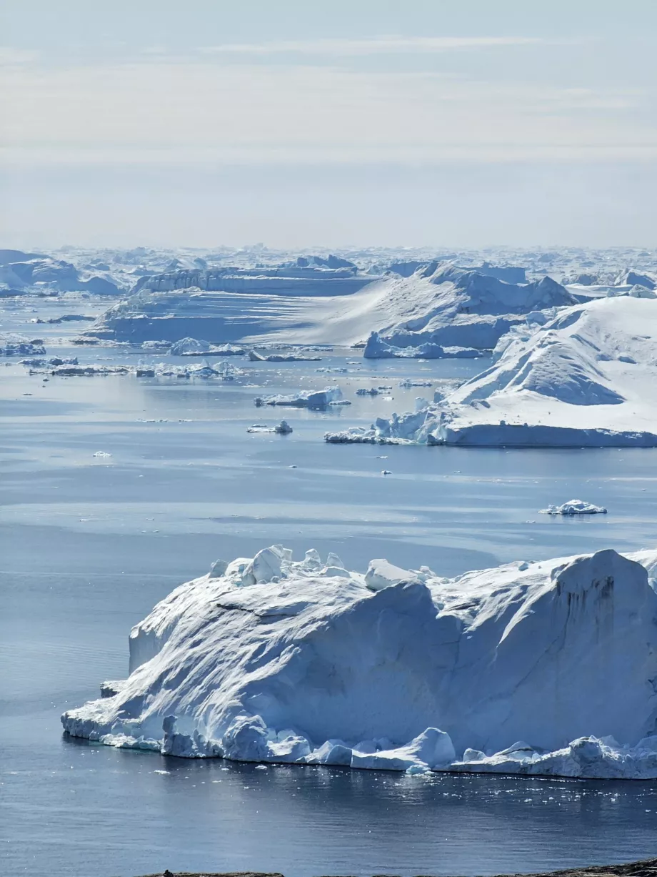 Icefiord