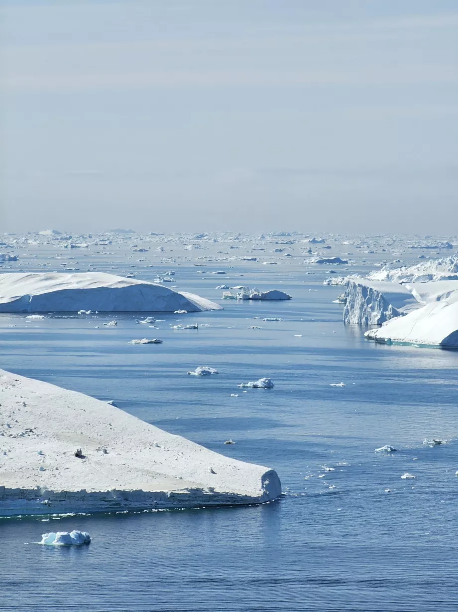 Icefiord