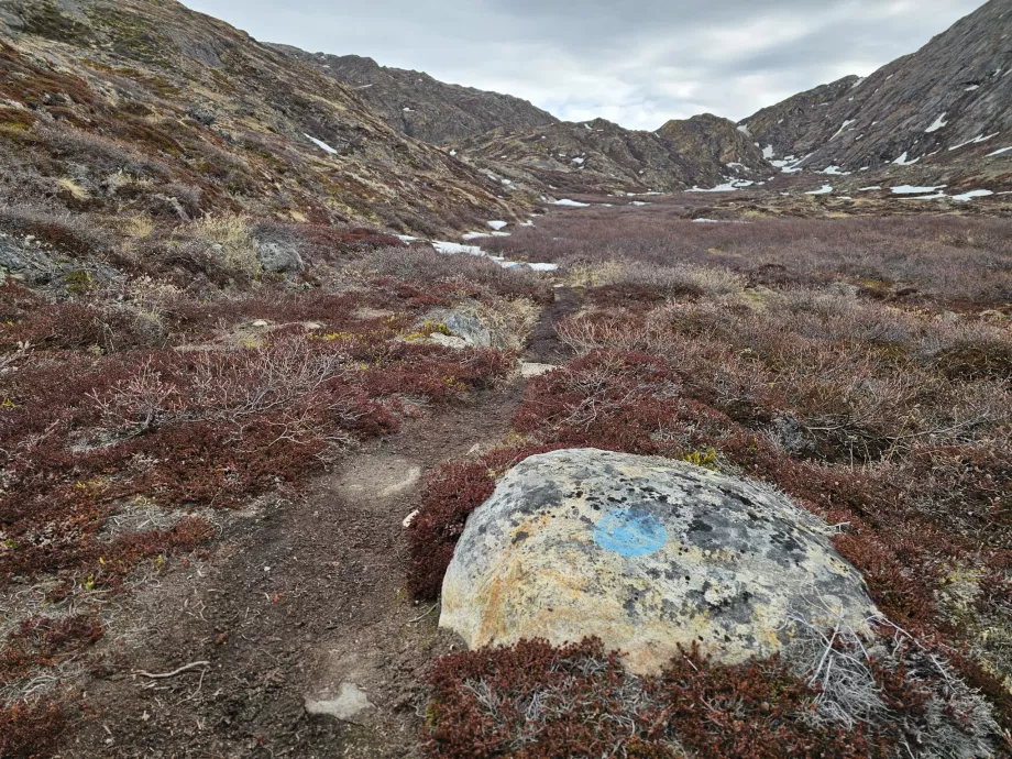 Palasip Qaqqaa patika işaretleri
