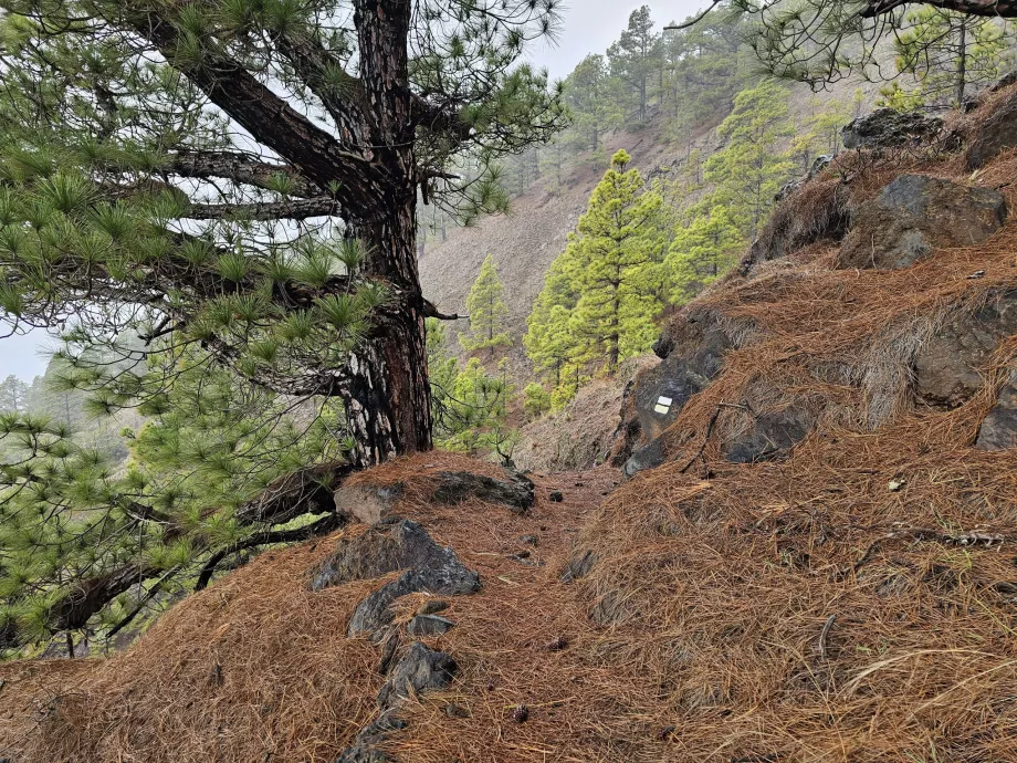 El Julan yürüyüş parkuru