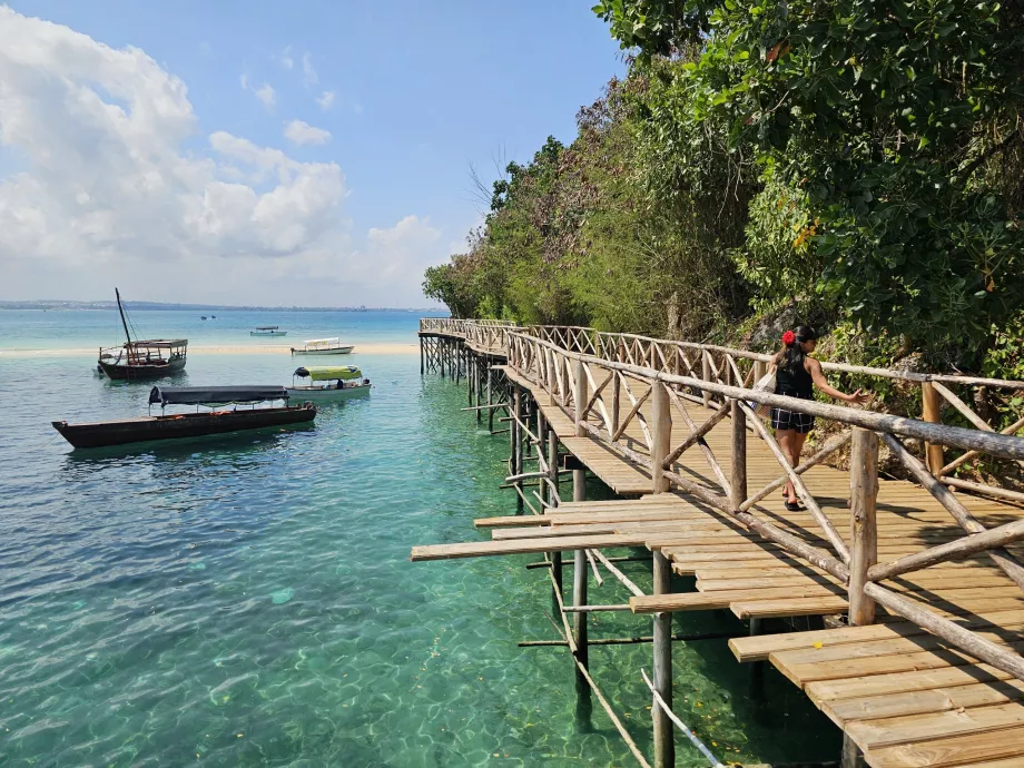 Hapishane Adası, varış