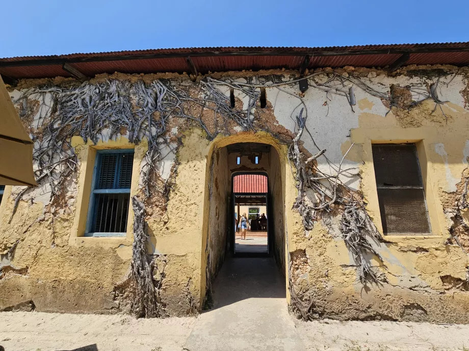 Hapishane Adası, hapishane binası