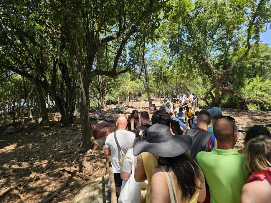 Hapishane Adası, dev kaplumbağa muhafazasının içinden geçen bir yol
