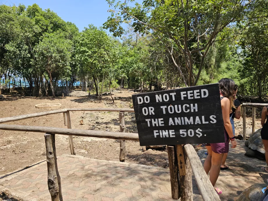 Hapishane Adası, dev kaplumbağalar