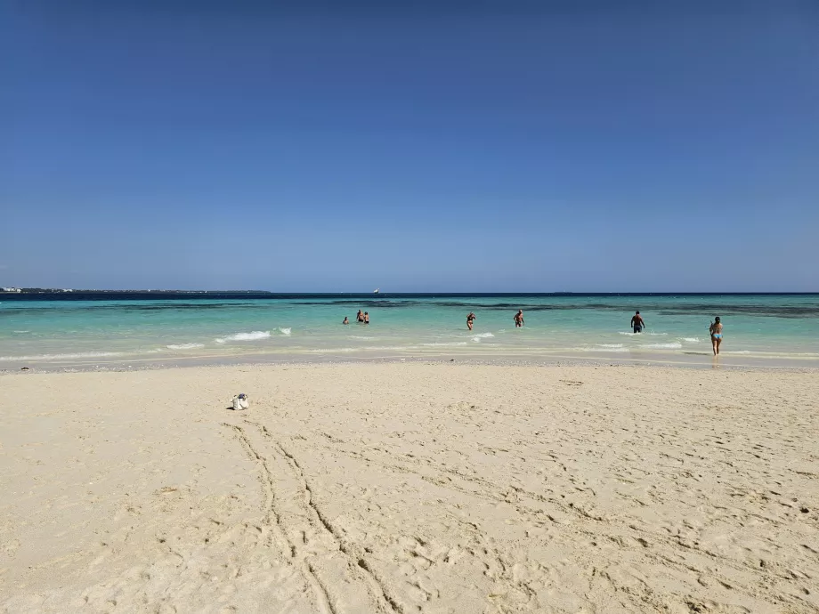 Nakupenda Kum Bandı