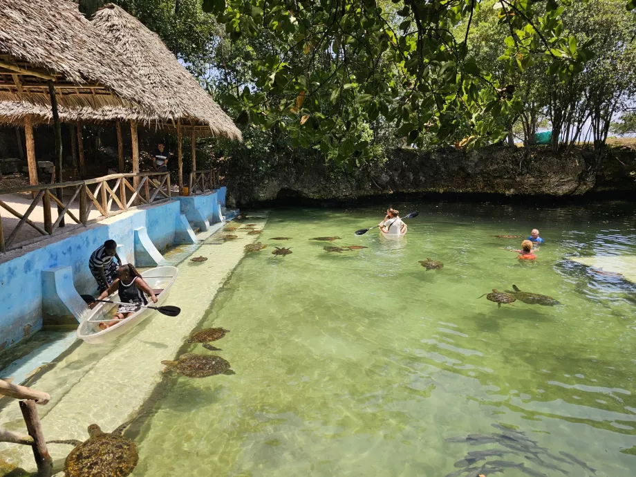 Nungwi, Mnarani Akvaryumu