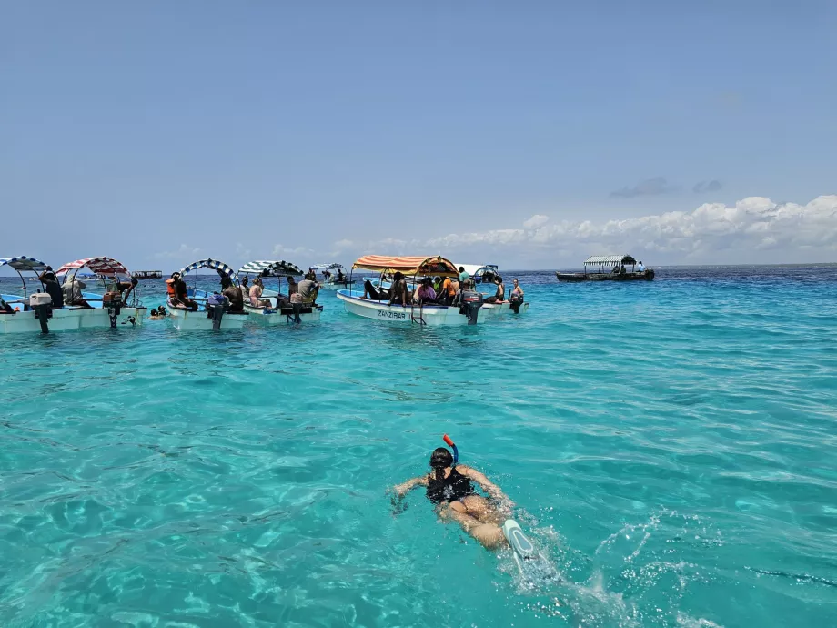Mnemba atolü yakınında şnorkelle dalış