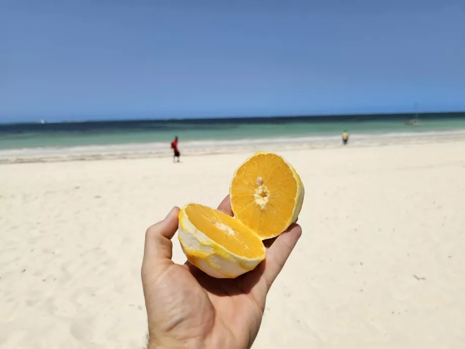 Kiwengwa sahilinde turuncu