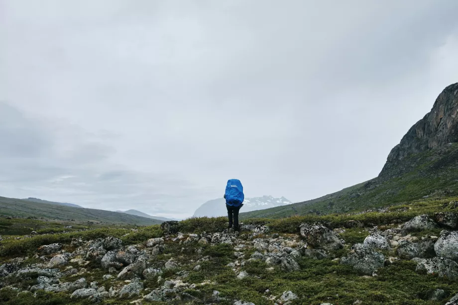 Grönland'da Doğa Yürüyüşü