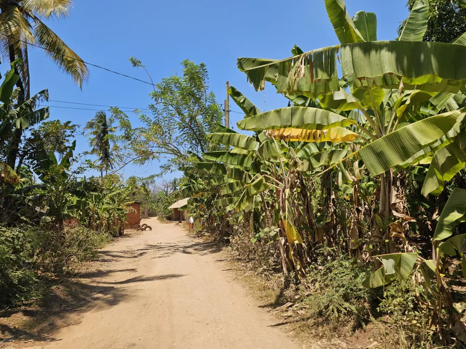 Mtende plajına giden yan toprak yol