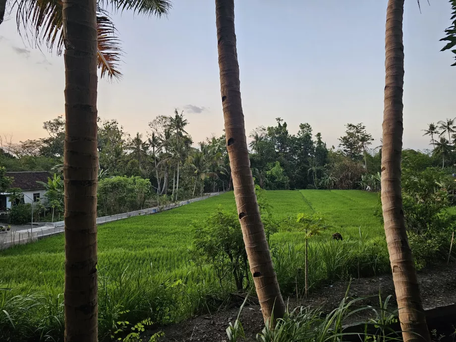 Ratu Boko'dan Yolculuk