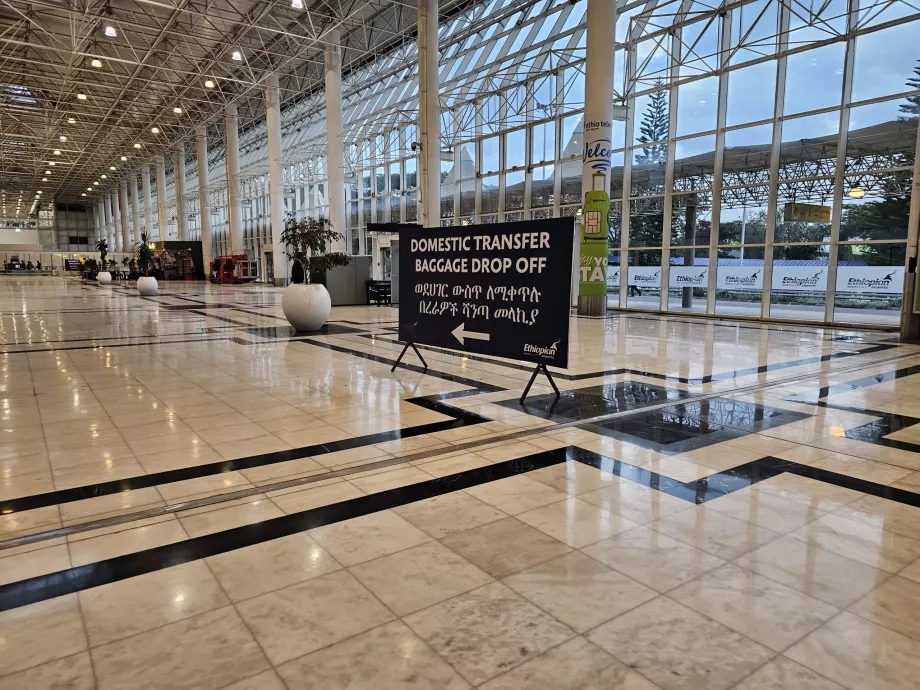 İç hat uçuşlarına bağlantılar