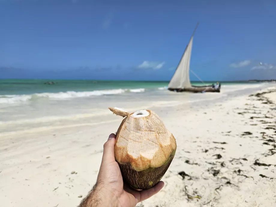 Paje'de sahilde Hindistan cevizi