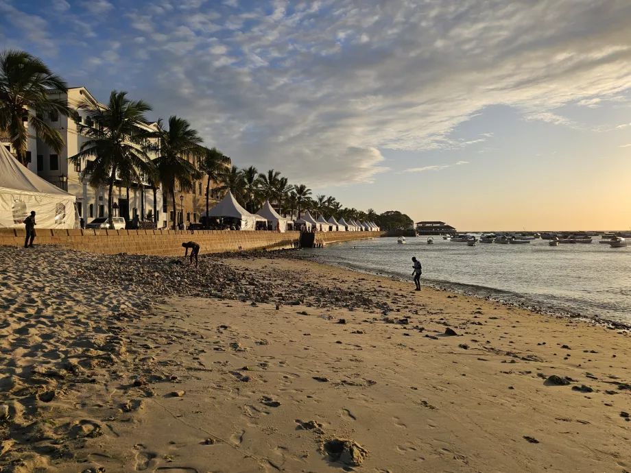 Forodhani mesire yerindeki plaj