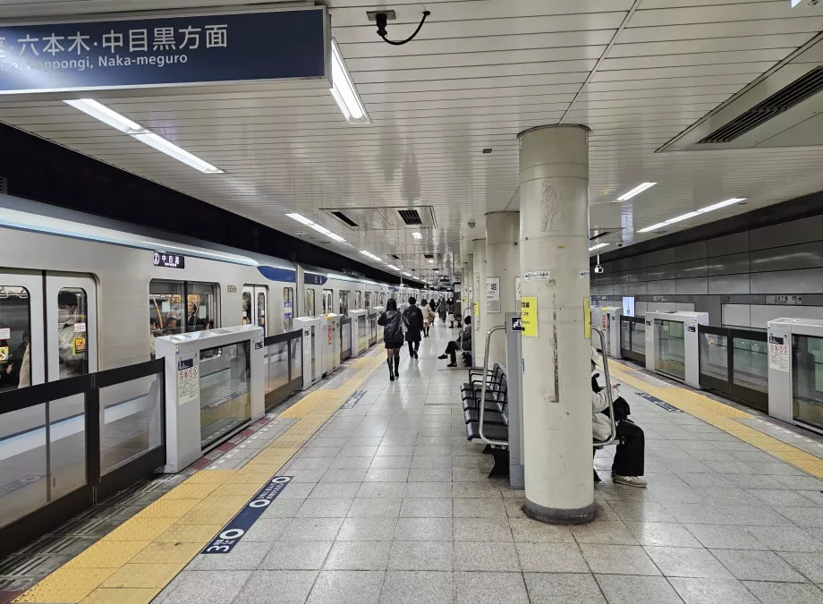 Tokyo metro istasyonları