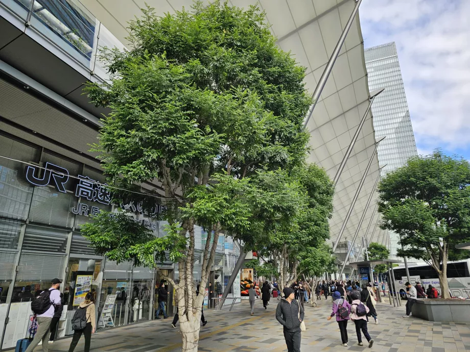 Tokyo Merkez Otobüs Terminali