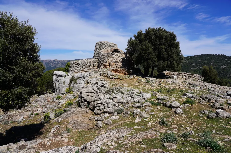 Kaynak: