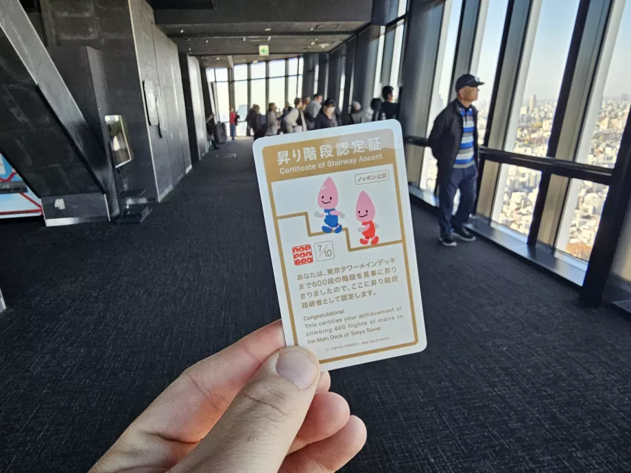 Merdivenleri çıktıktan sonra sertifika