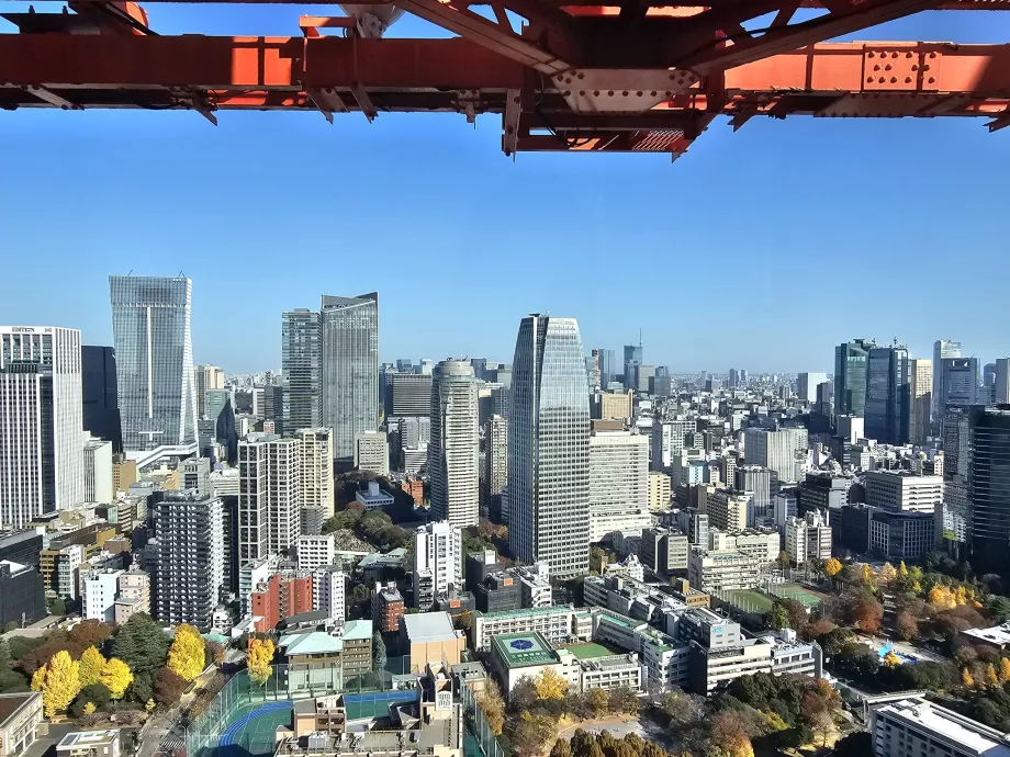 En üst kattan görünüm