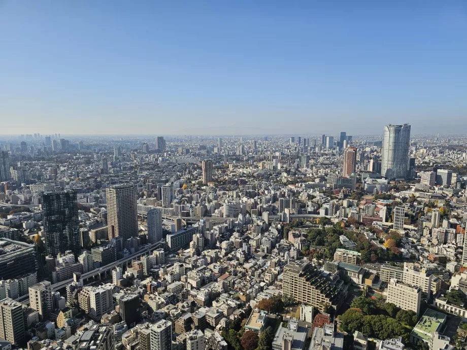 En üst kattan görünüm