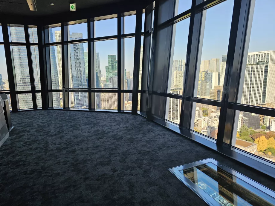 Ana gözlem platformu