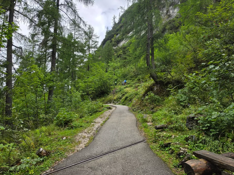 Buz Mağarası'na giden yol