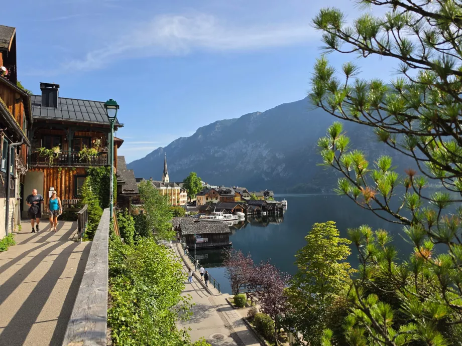 Hallberg Caddesi'nden Hallstatt manzarası