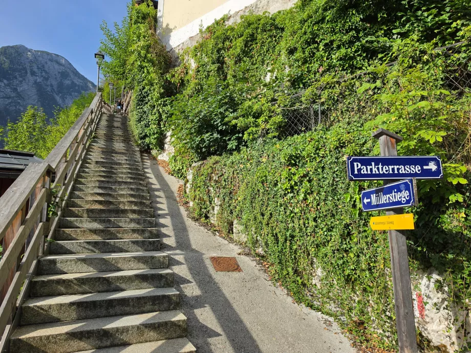 Merdivenler: Salzberg'e çıkan patikanın başlangıcı