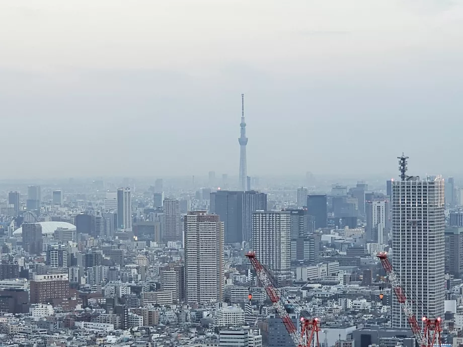 Tokyo Büyükşehir Hükümet Binası