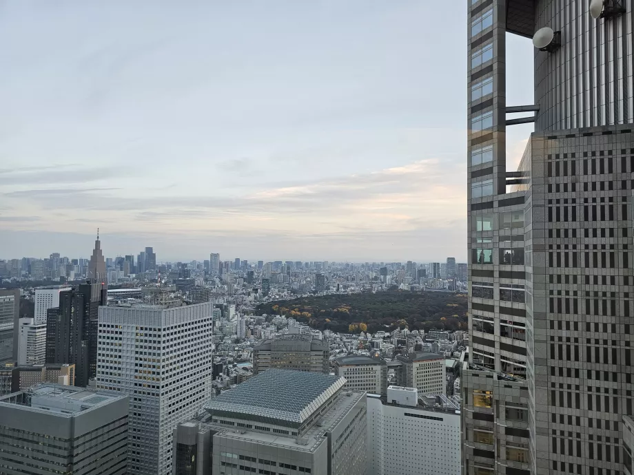 Tokyo Büyükşehir Hükümet Binası