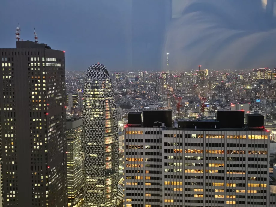 Tokyo Büyükşehir Hükümet Binası