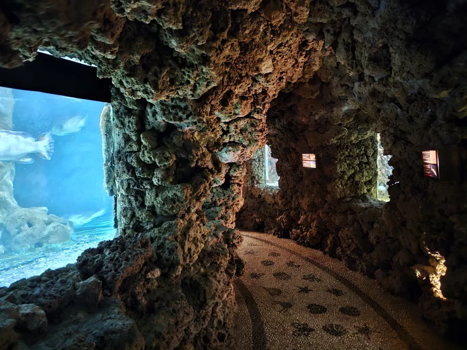 Rodos Akvaryumu