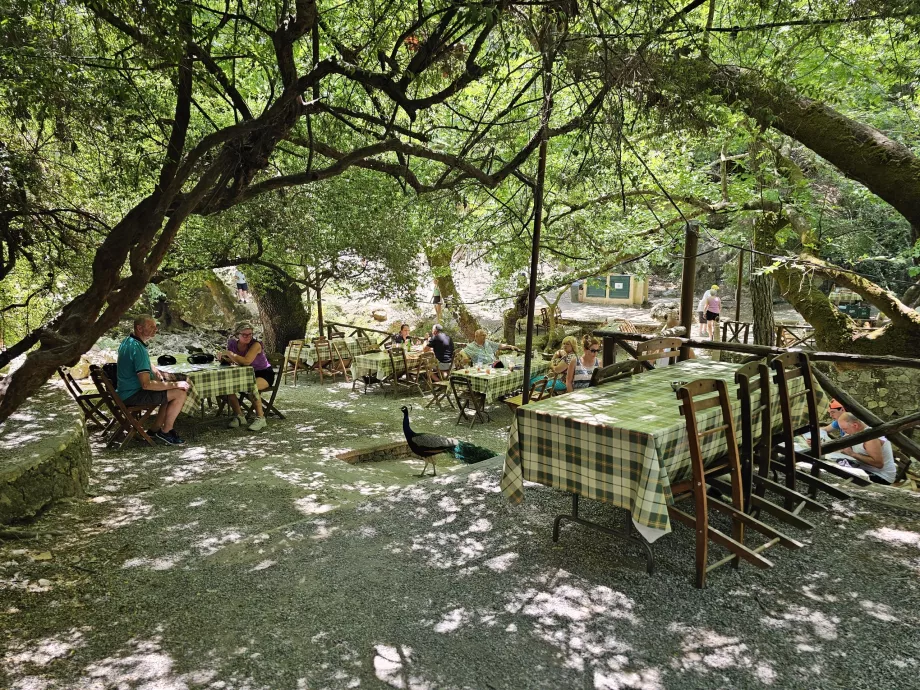 Seven Springs'de Restoran