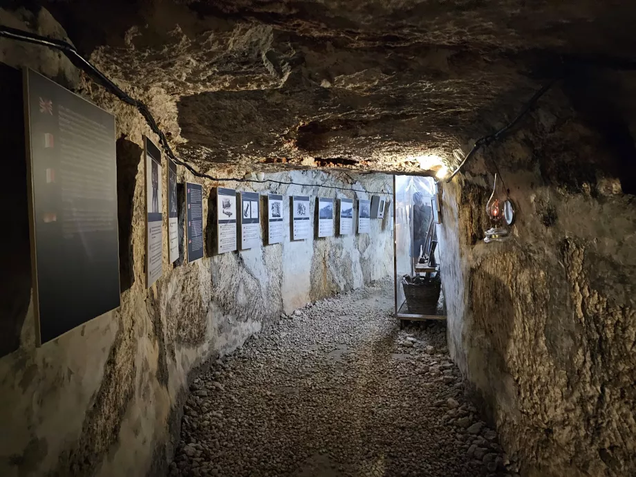 Savaş sığınağı, Mosta