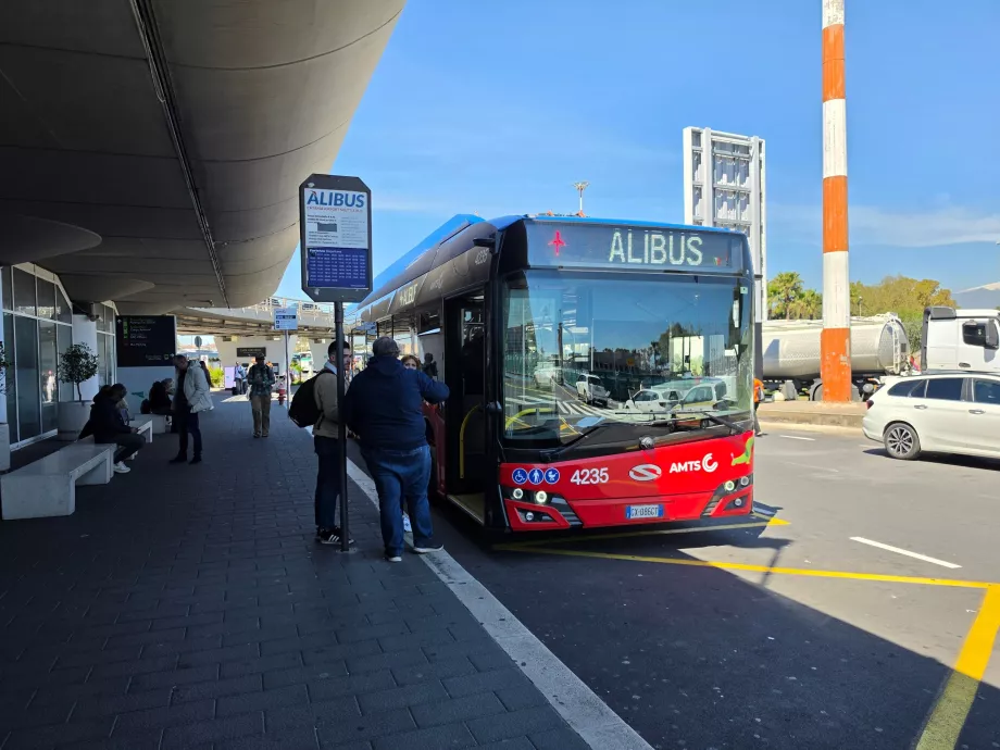 Katanya'nın merkezine Alibus