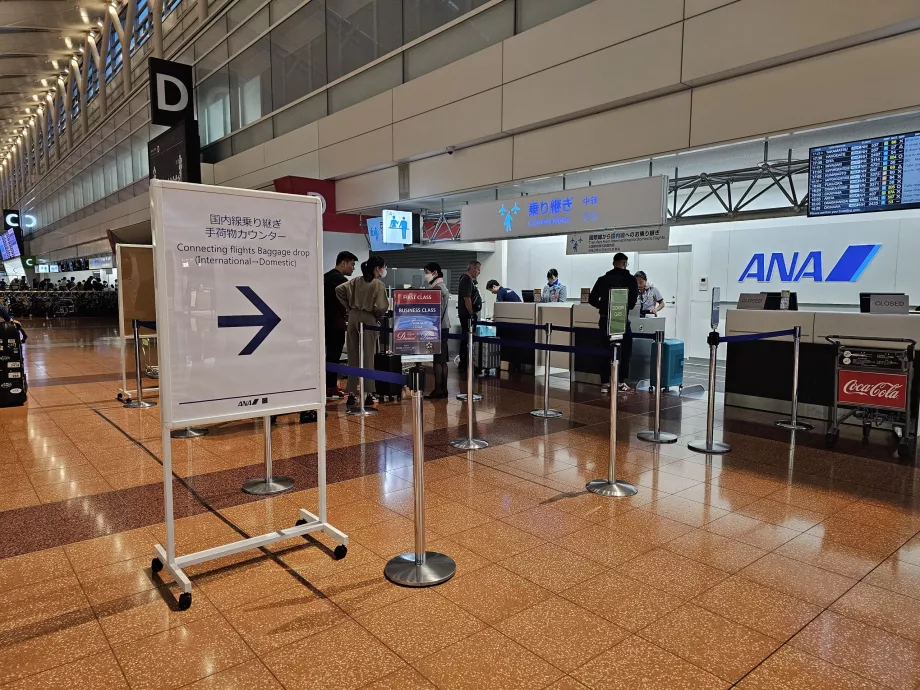 Bağlantılı Uçuşlar Check-in