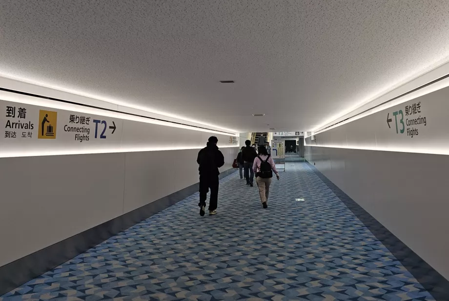 Haneda Havalimanı'nda Transfer