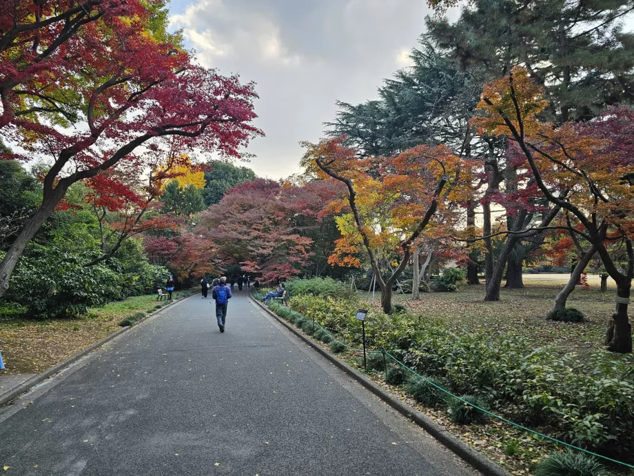 Shinjuku Gyoen Ulusal Bahçesi