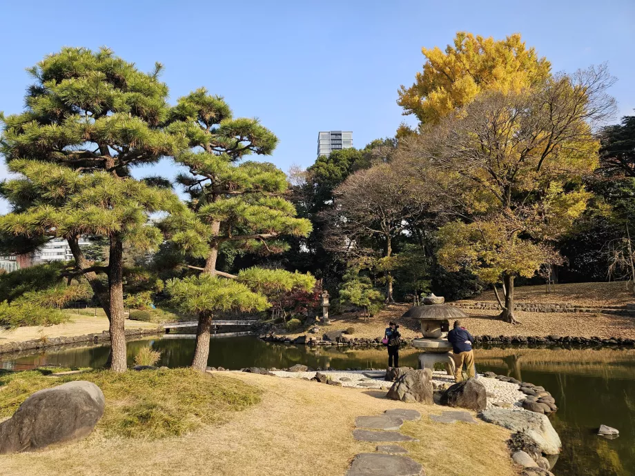 Shinjuku Gyoen Ulusal Bahçesi
