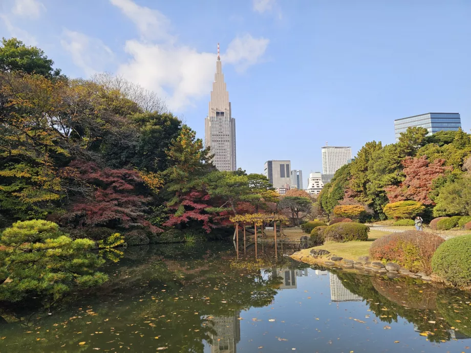 Shinjuku Gyoen Ulusal Bahçesi