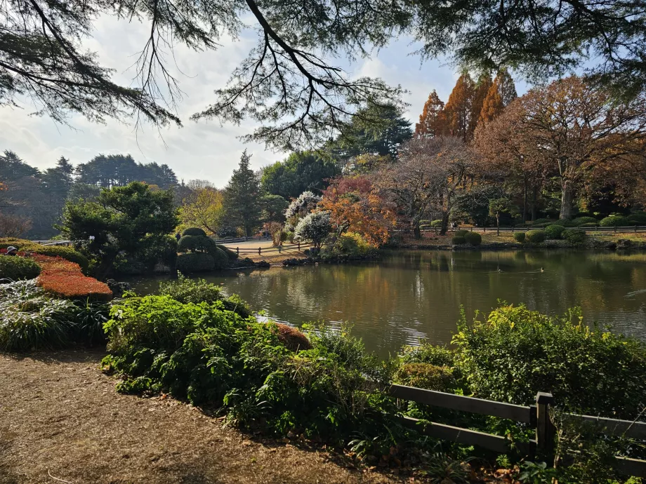 Shinjuku Gyoen Ulusal Bahçesi