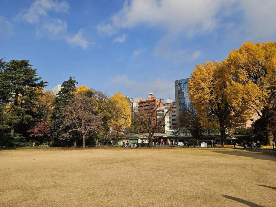 Shinjuku Gyoen Ulusal Bahçesi