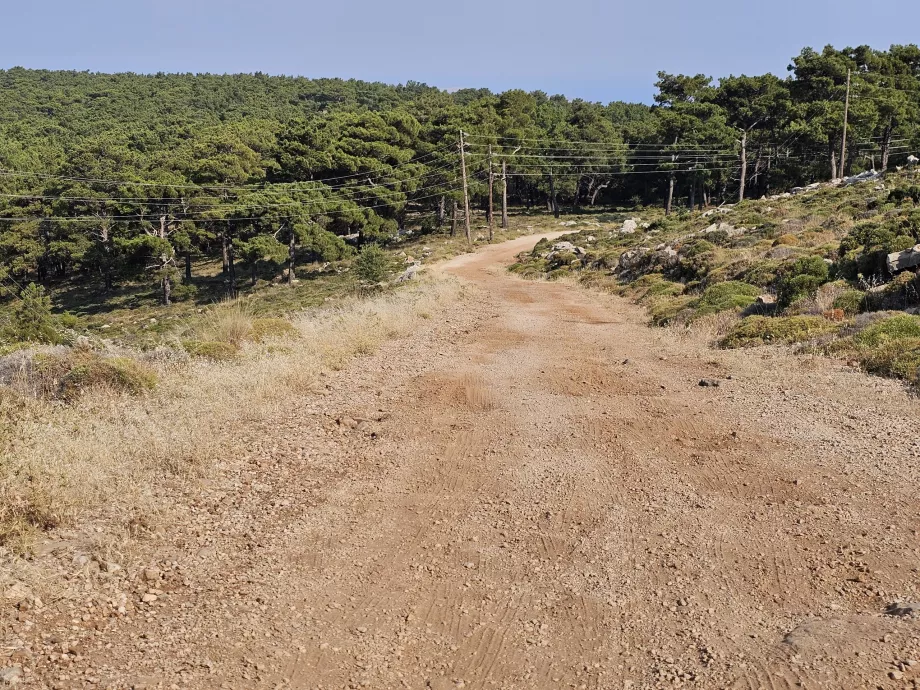 Atavyros Dağı'na giden yol