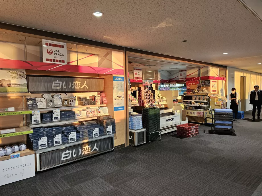 Minimarket JAL Plaza, iç hatlar transit bölgesi